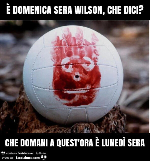 ร domenica sera wilson, che dici? Che domani a quest'ora รจ lunedรฌ sera