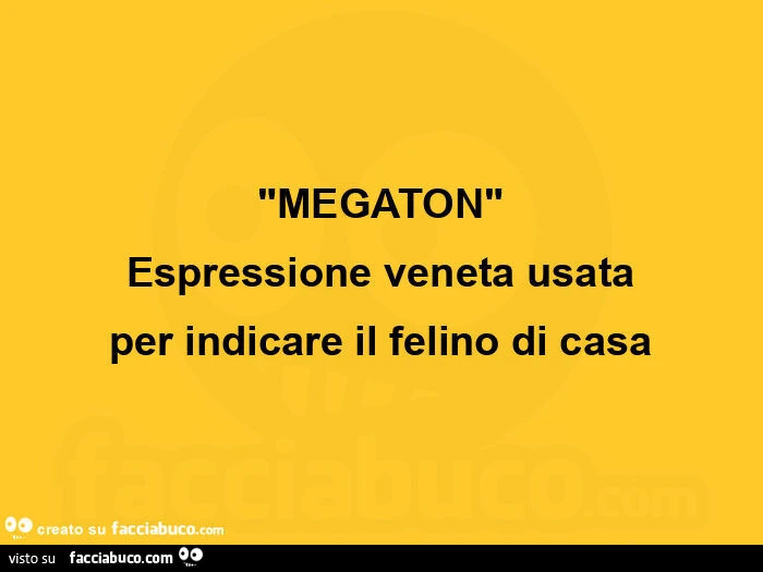 Megaton espressione veneta usata per indicare il felino di casa