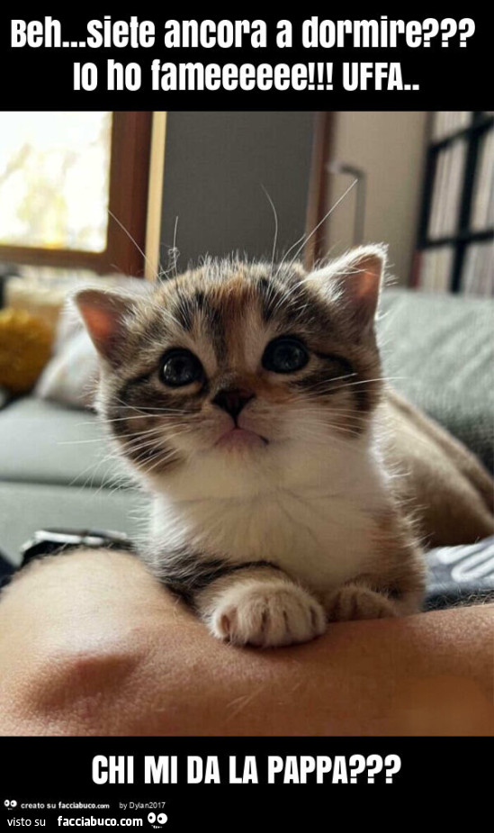 Beh… siete ancora a dormire? Io ho fameeeeee! Uffa. Chi mi da la pappa?