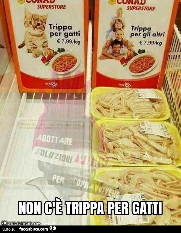 Non c'è trippa per gatti