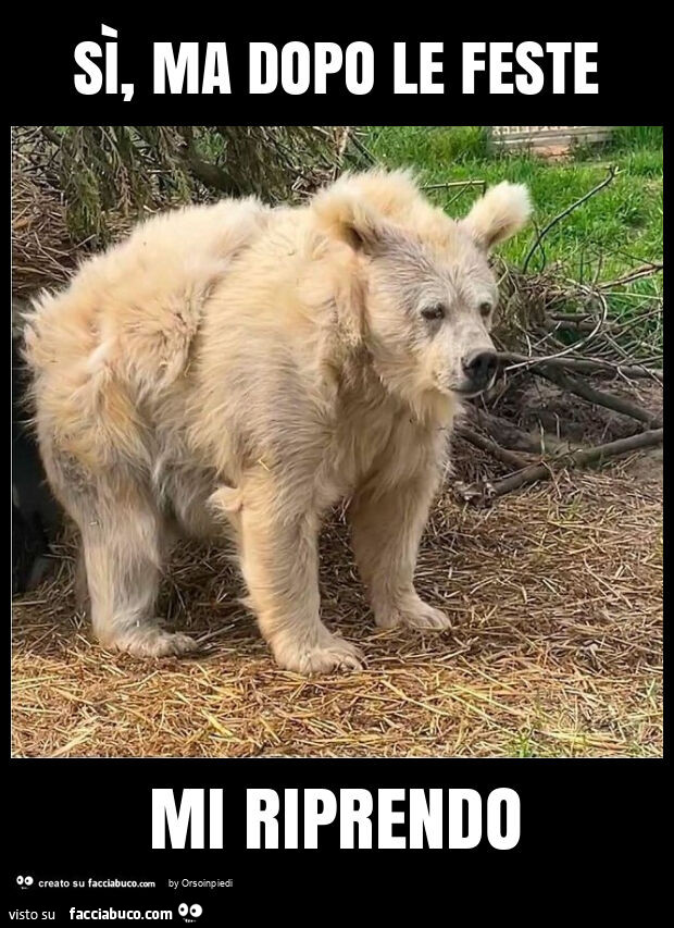 Sì, ma dopo le feste mi riprendo