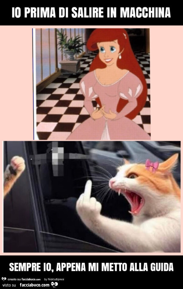 Io prima di salire in macchina sempre io, appena mi metto alla guida