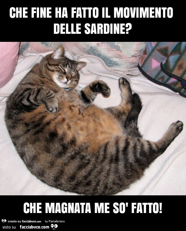 Che fine ha fatto il movimento delle sardine? Che magnata me sò fatto