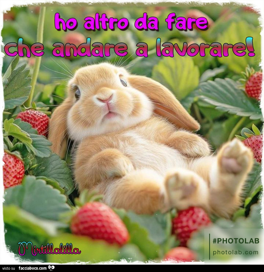 Ho altro da fare