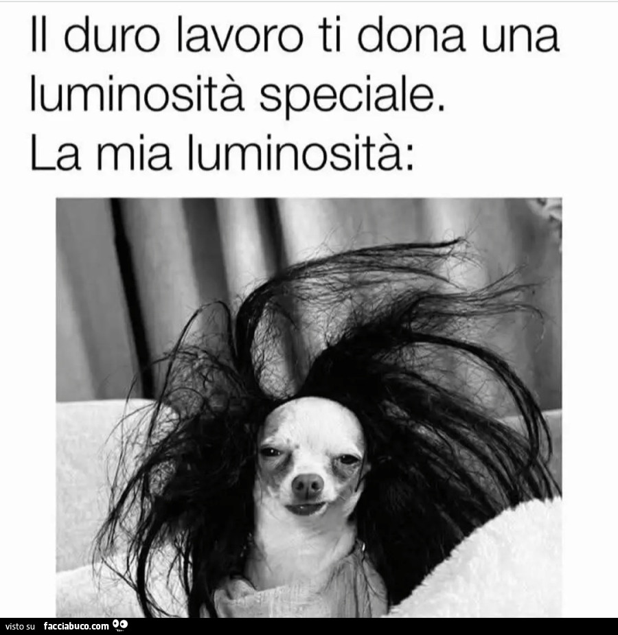 Il duro lavoro ti dona una luminosità speciale la mia luminosità
