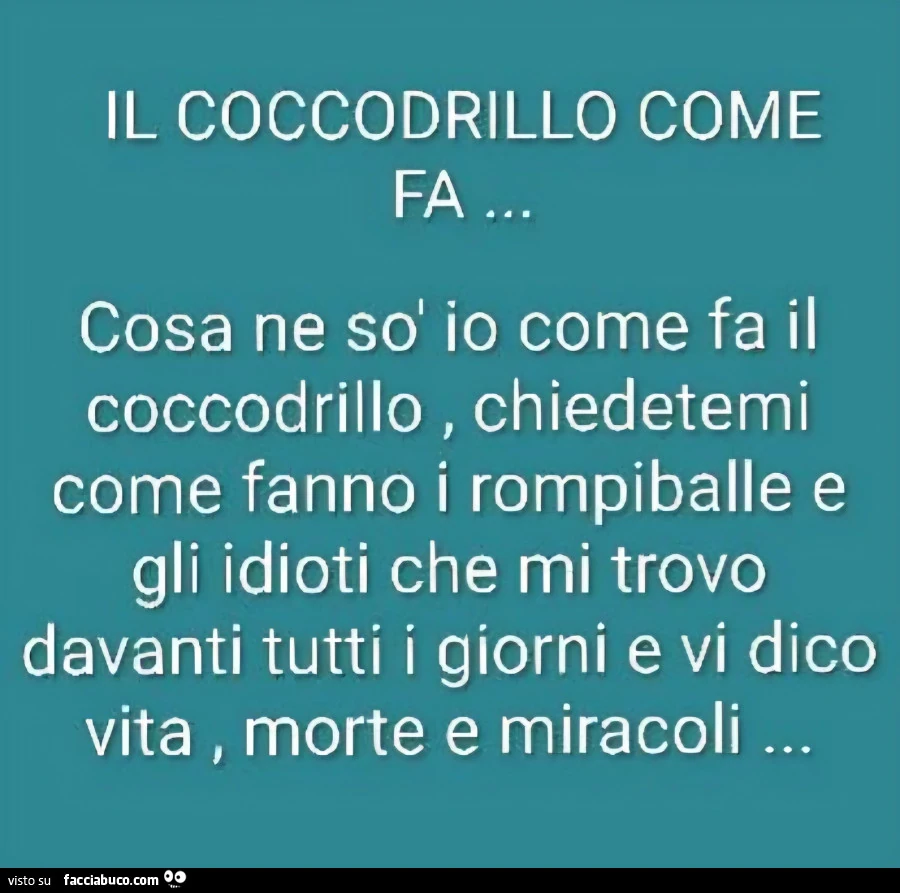 Coccodrillo