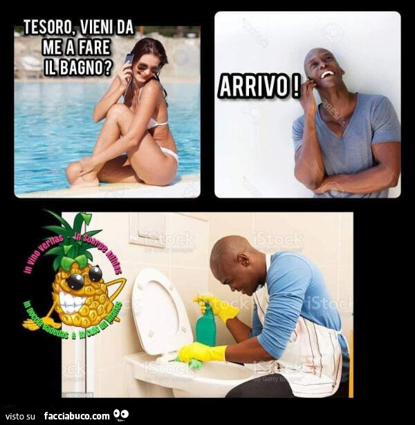 Vaccata
