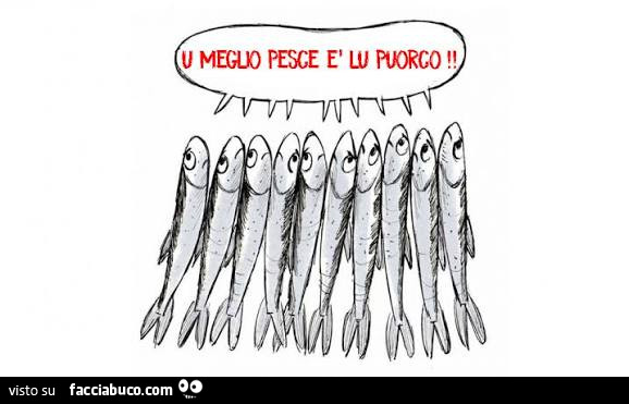 U meglio pesce è lu puorco