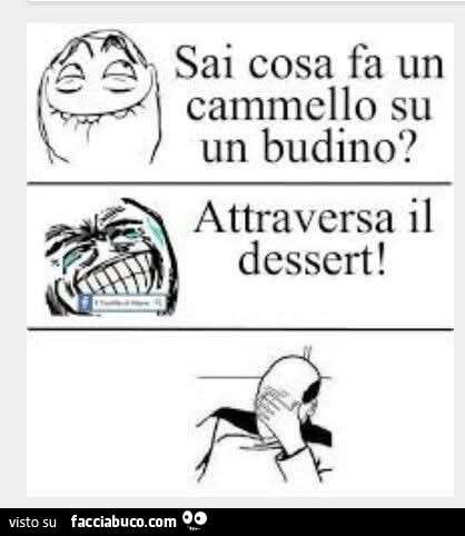 Sai cosa fa un cammello su un budino? Attraversa il dessert