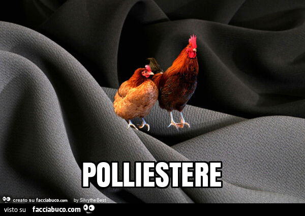 Polliestere