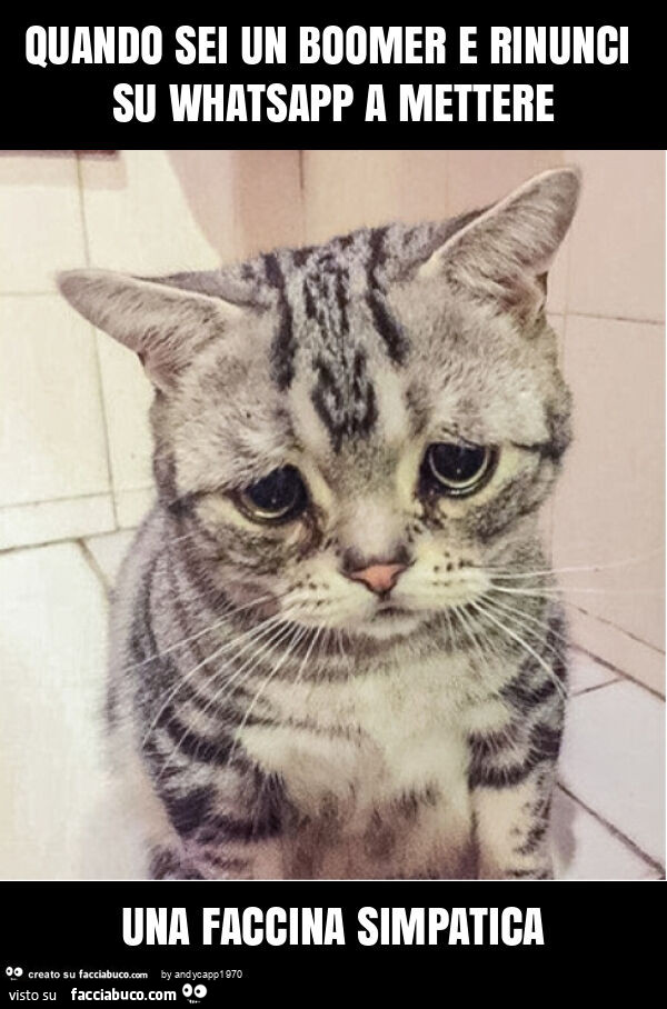 Quando sei un boomer e rinunci su whatsapp a mettere una faccina simpatica
