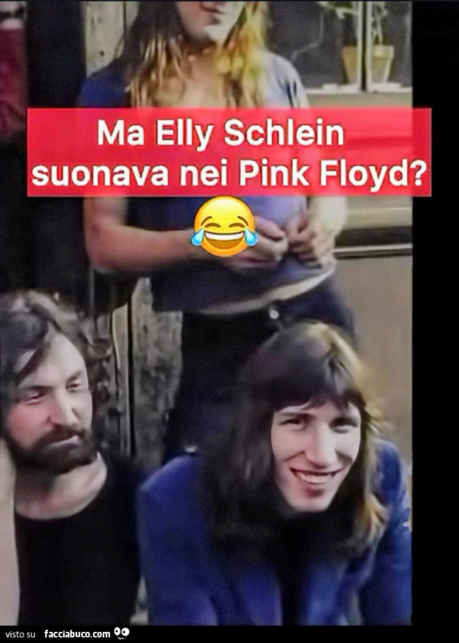 Schlein