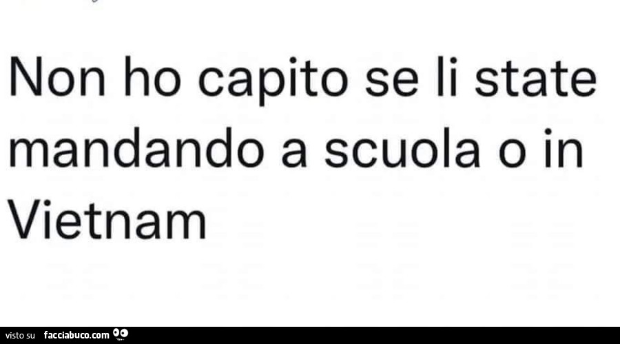 Non ho capito se li state mandando a scuola o in vietnam