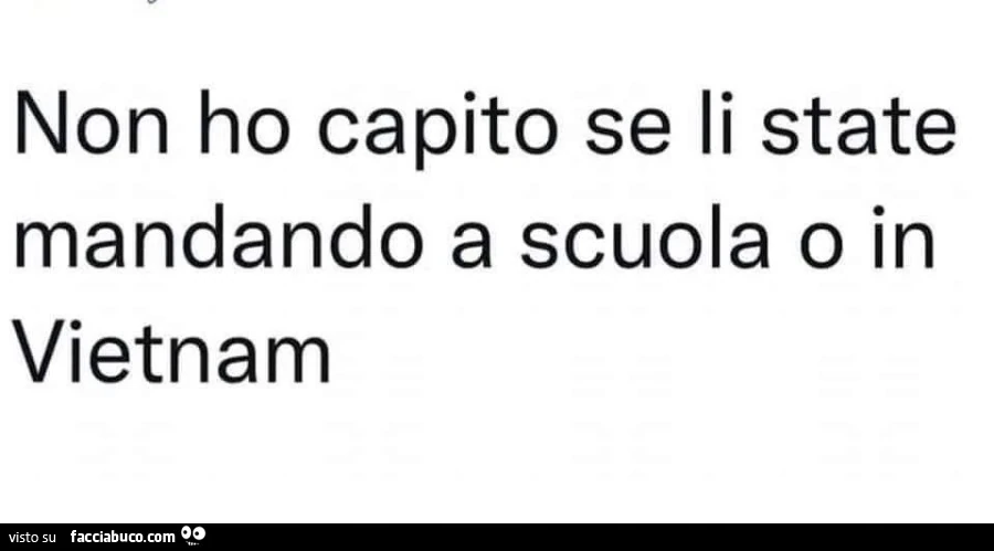 Non ho capito se li state mandando a scuola o in vietnam