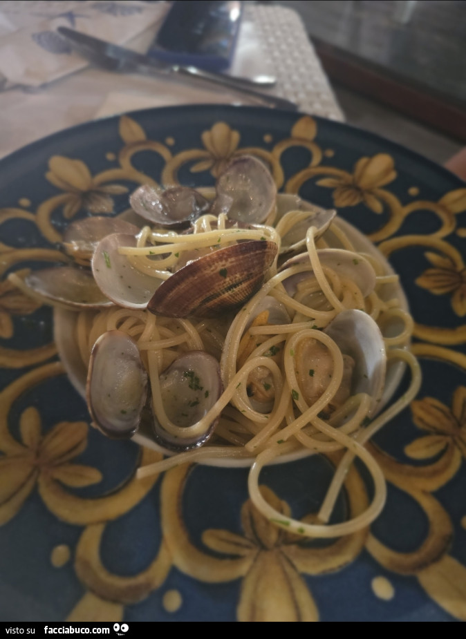 Vaccata
