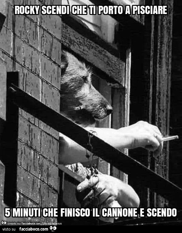 Rocky scendi che ti porto a pisciare 5 minuti che finisco il cannone e scendo