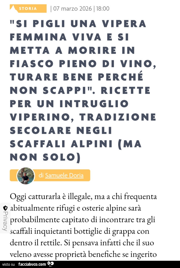 Si pigli una vipera femmina viva e si metta a morire in fiasco pieno di vino