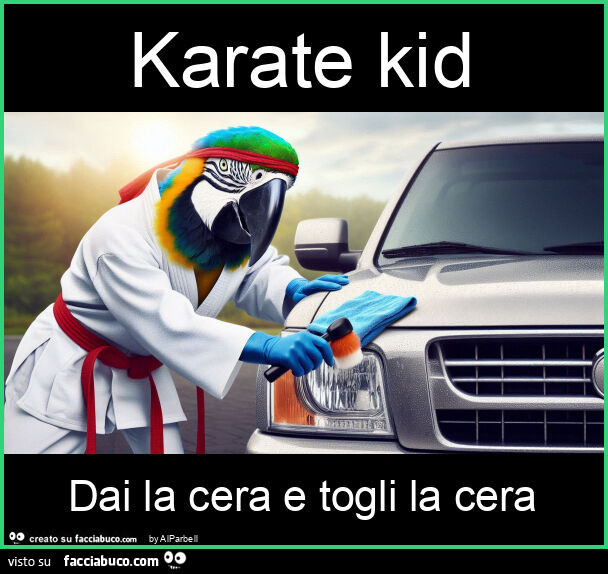 Karate kid dai la cera e togli la cera