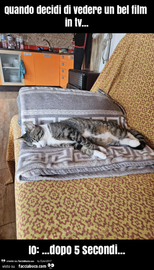 Quando decidi di vedere un bel film in tv&hellip; io: &hellip; dopo 5 secondi