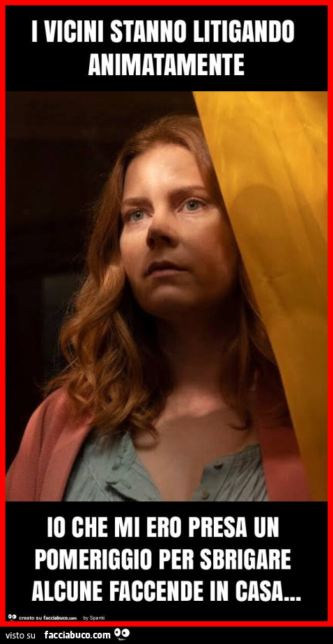 I vicini stanno litigando animatamente io che mi ero presa un pomeriggio per sbrigare alcune faccende in casa