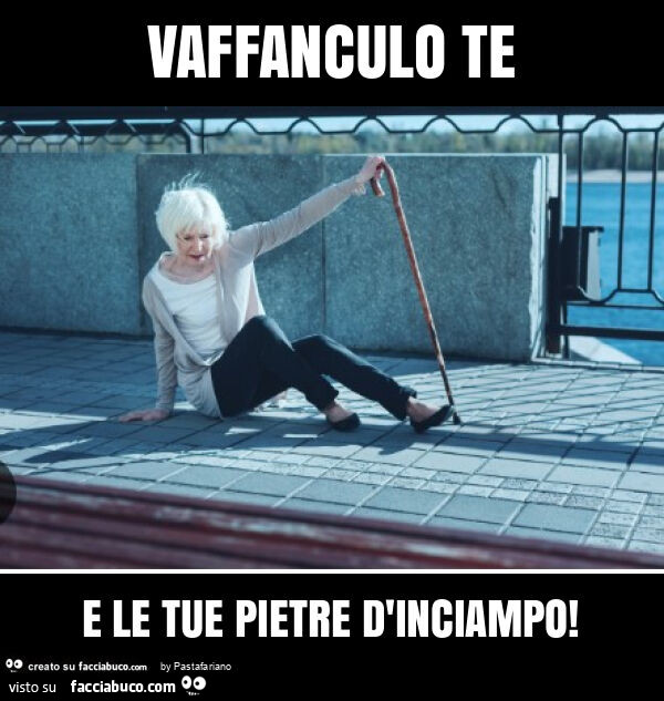 Vaffanculo te e le tue pietre d'inciampo