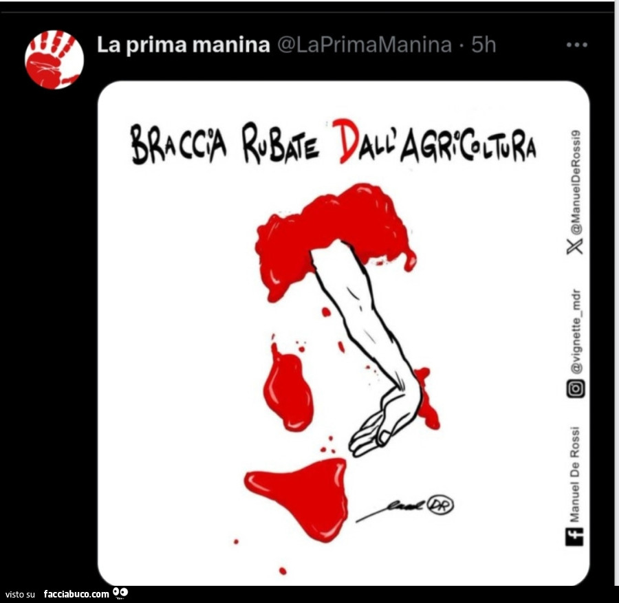 Vaccata