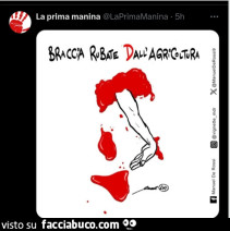 Vaccata
