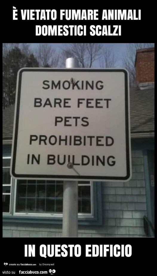 È vietato fumare animali domestici scalzi in questo edificio