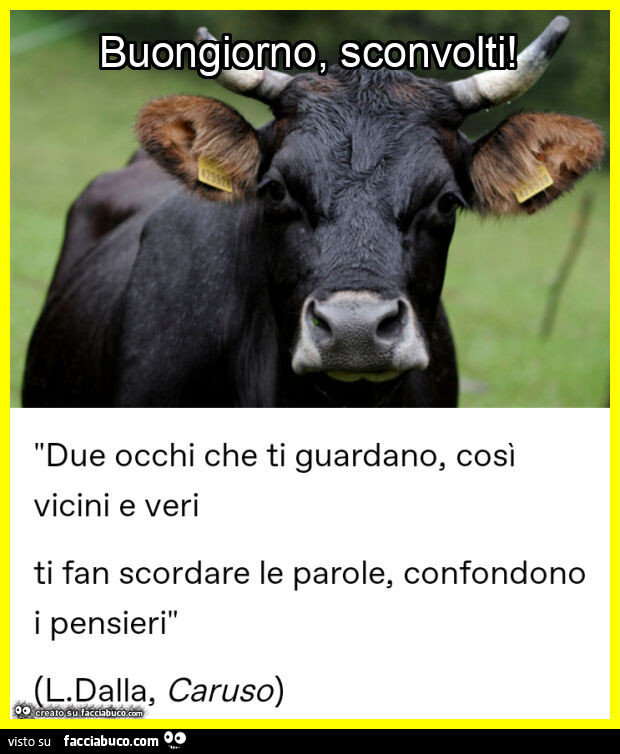 Buongiorno, sconvolti