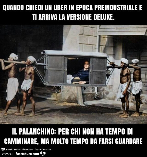 Quando chiedi un uber in epoca preindustriale e ti arriva la versione deluxe. Il palanchino: per chi non ha tempo di camminare, ma molto tempo da farsi guardare