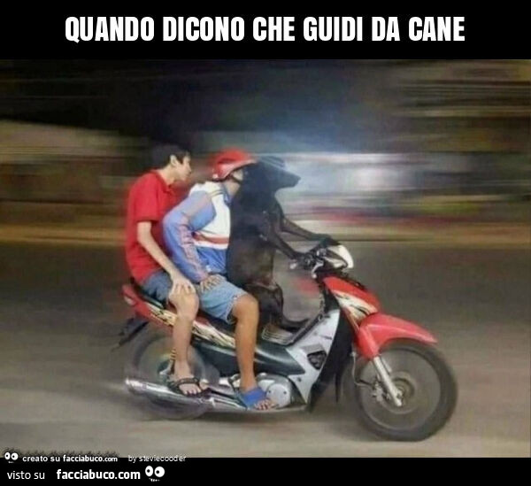 Quando dicono che guidi da cane