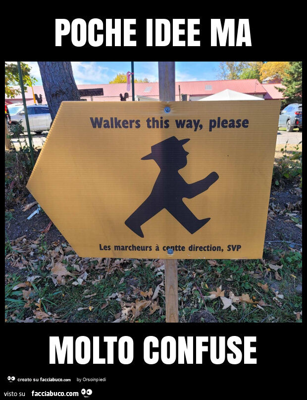 Poche idee ma molto confuse