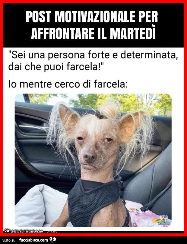 Post motivazionale per affrontare il martedì sei una persona forte e determinata dai che puoi farcela io mentre cerco di farcela