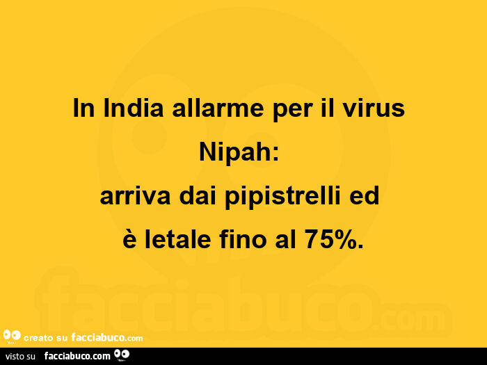 In india allarme per il virus nipah: arriva dai pipistrelli ed è letale fino al 75