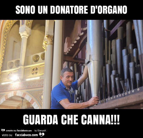 Sono un donatore d'organo guarda che canna
