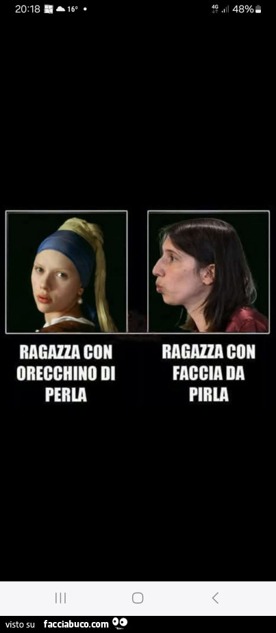 Ragazza con orecchino di perla. Ragazza con faccia da pirla