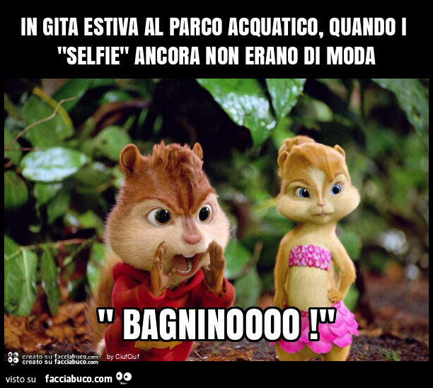 In gita estiva al parco acquatico, quando i "selfie" ancora non erano di moda