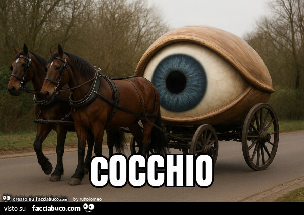 Cocchio
