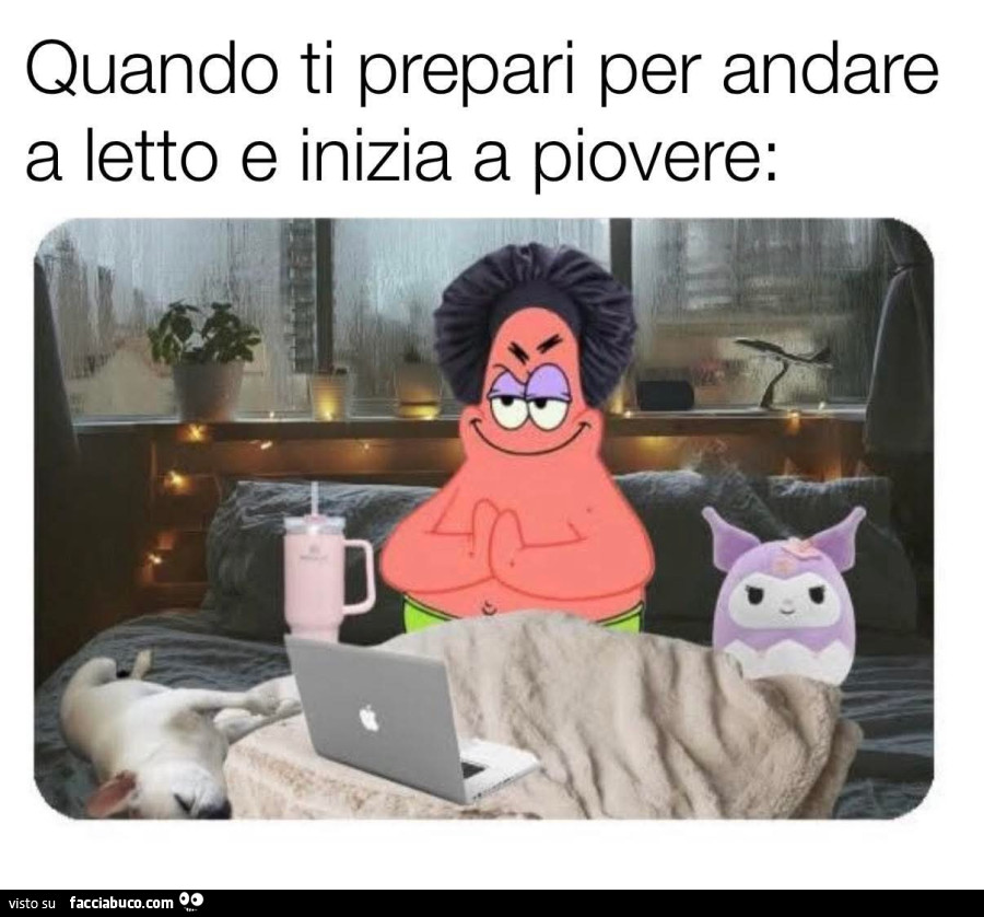 Vaccata