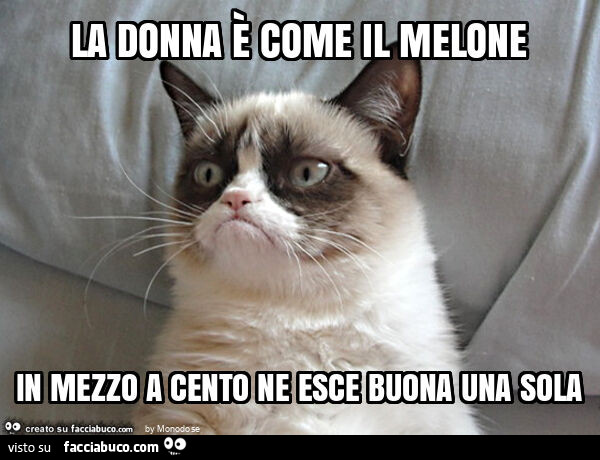 La donna è come il melone in mezzo a cento ne esce buona una sola