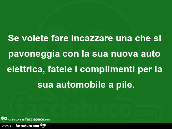 Se volete fare incazzare una che si pavoneggia con la sua nuova auto elettrica, fatele i complimenti per la sua automobile a pile