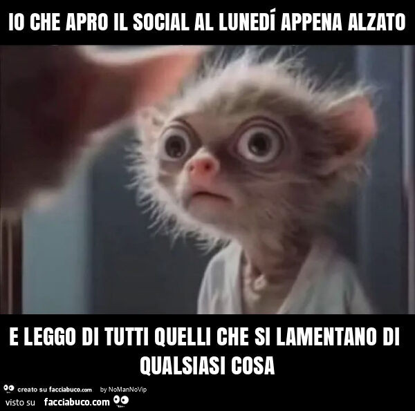 Io che apro il social al lunedรญ appena alzato e leggo di tutti quelli che si lamentano di qualsiasi cosa