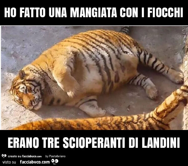 Ho fatto una mangiata con i fiocchi erano tre scioperanti di landini