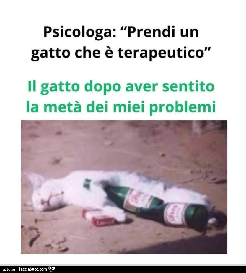 Vaccata