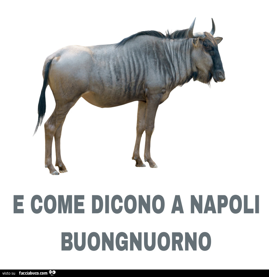 E come dicono a napoli buongnuorno