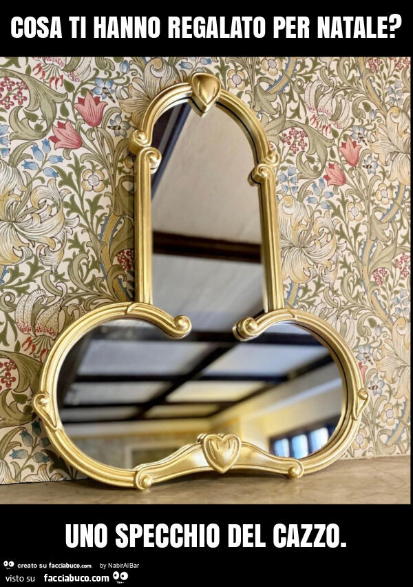 Cosa ti hanno regalato per natale? Uno specchio del cazzo