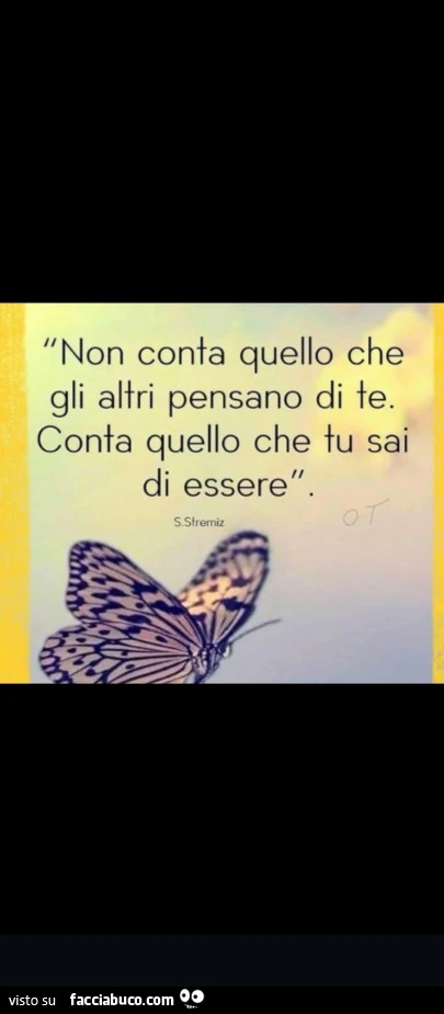 La Felicità è come una Farfalla, non va inseguita
