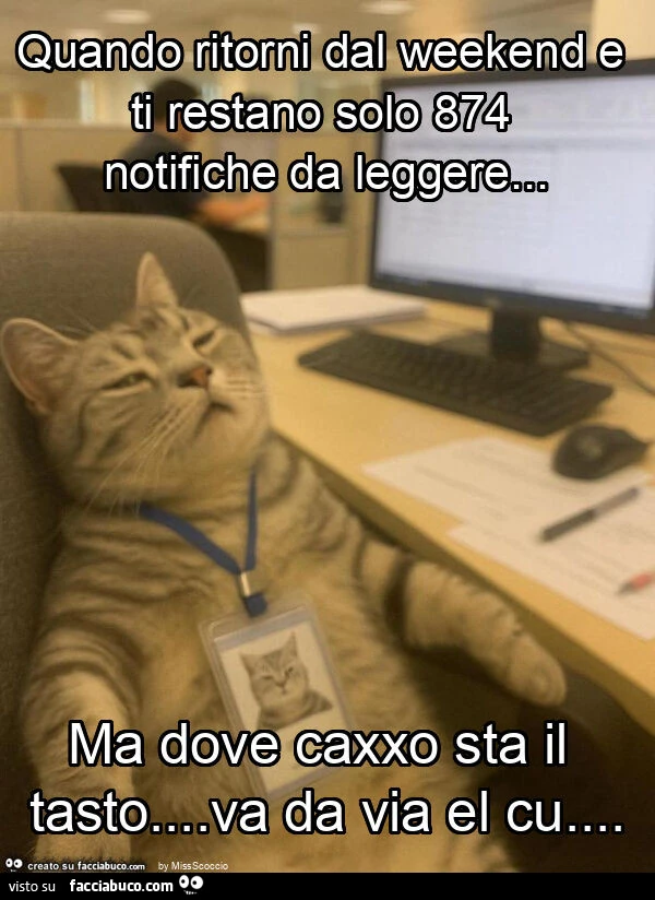 Quando ritorni dal weekend e ti restano solo 874 notifiche da leggere&hellip; ma dove caxxo sta il tasto&hellip; va da via el cu