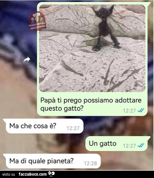 Vaccata