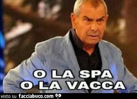 Vaccata